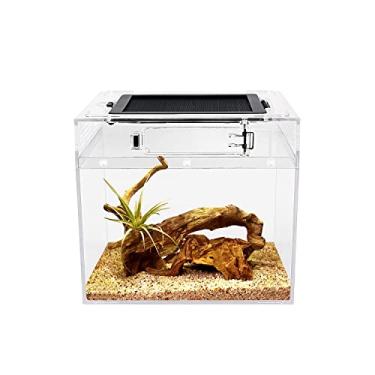 Imagem de Reptile Growth Terrário para répteis, 20,32 x 20,32 x 20,32 cm, tanque de répteis com visão completa visualmente atraente, terrários de répteis para leopardo lagartixa caranguejo eremita barbudo dragão lagarto cobra aranha sapo