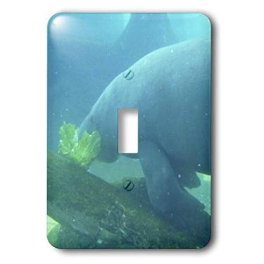 Imagem de 3dRose Interruptor monofone único lsp_7864_1 Manatee Munch, multicolorido