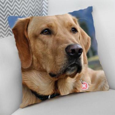 Imagem de Almofada Decorativa Cheia c/ Zíper Dog Pet Cachorro Cão - Deluzz, Labr