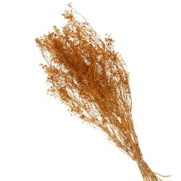 Imagem de Buque de Flores Secas Gypsofila Roxo - Pense Flores, Laranja