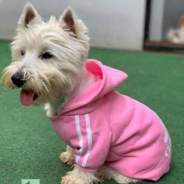 Imagem de Roupa rosa de cachorro - Pet shop
