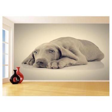 Imagem de Papel De Parede 3D Animais Cachorro Olhando Pet 3,5M Anm368 - Você Dec