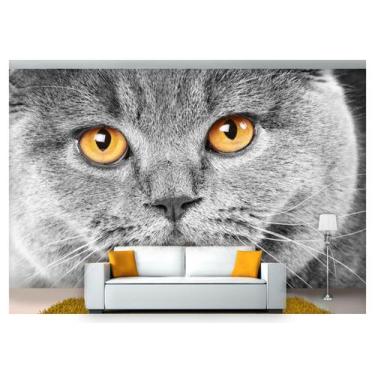 Imagem de Papel De Parede Animais Gato Preto E Branco  Anm134 - Você Decora