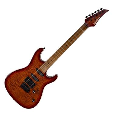 Imagem de Guitarra Waldman Elétrica 6 Cordas Com Capa Wis-160 Qsb W/B