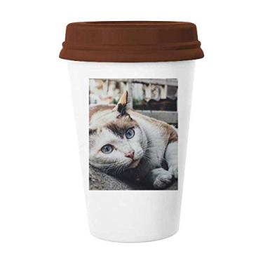 Imagem de Caneca de foto de gato colorida com imagem de animal, copo de cerâmica para copo de café