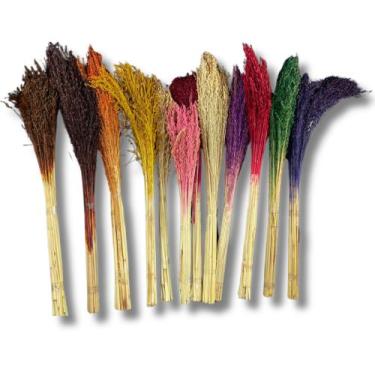 Imagem de Buquê Flor De Vassoura Cores Natural Arranjo Decoração Festa - Inspira
