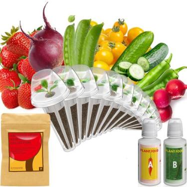 Imagem de Kit de Cápsulas de Sementes inbloom com 12 Cápsulas e mais de 350 Seme