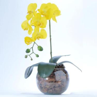 Imagem de Arranjo de Orquídea Artificial Amarela em Aquário Giovana - Vila das F