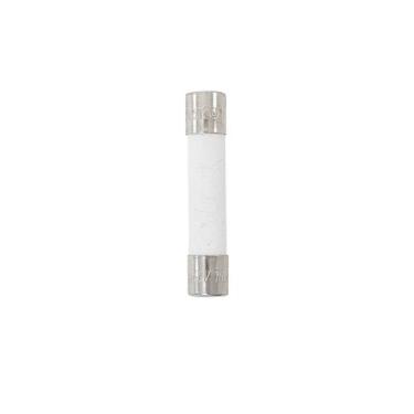 Imagem de Fusível Cerâmico Microondas LG 3B74133P