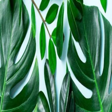 Imagem de Quadro Decorativo com Estampa Tropical de Folhagem Palm Leaf Azul para paredes modernas 30x30cm