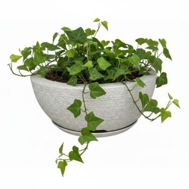 Imagem de Vaso de Planta Bacia Com Prato Escovado 1 Decorativo cinza - CABANA DE