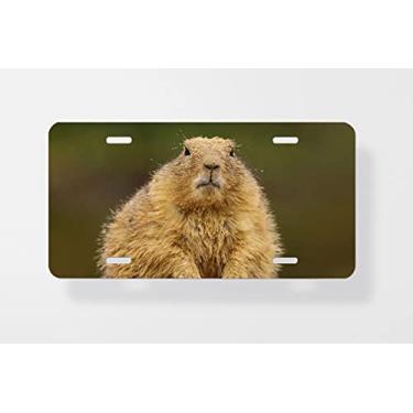 Imagem de Capa para placa de licença de cachorro da Prairie – Capa para placa de carro – Capa para moldura de placa de carro 15 x 30 cm