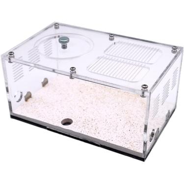 Imagem de Expansão infinita Formiga Fazenda Concreto Ninho de Formiga Acrílico Casa de Insetos Colônia Bebedor Formigueiro Kit Formigas Oficina Ecológica Caixa de Exibição Acessórios, área de atividad