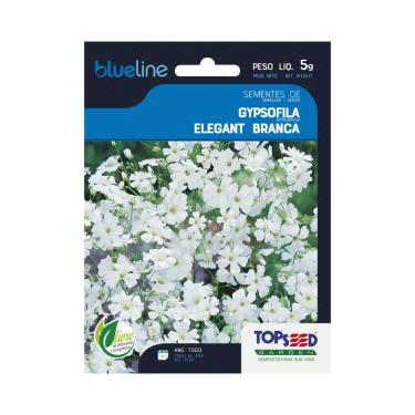 Imagem de Sementes de Gypsofila Elegant Branca, 5g, Flores Brancas para Jardim