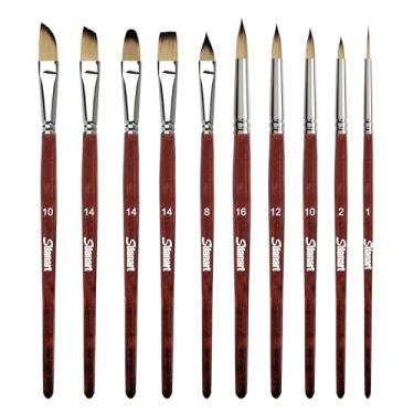 Imagem de Sdanart Pincéis de aquarela profissionais, 10 peças de pincéis de pintura artística, incluindo arredondados pontiagudos, planos, filbert, língua de gato, adaga, adequado para tinta acrílica, água