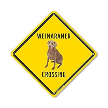 Imagem de PetKa Signs and Graphics Placa de alumínio PKAC-0599-NA_10x10 "Weimaraner Crossing (parte traseira amarela)", 25,4 cm x 25,4 cm