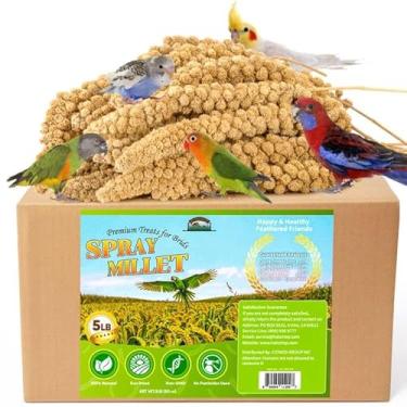 Imagem de HATORTOP Spray de painço para pássaros 2,3 kg - Tratamento saudável totalmente natural seco ao sol, spray de painço para periquitos, papagaios, periquitos, calopsitas, comida, 100% semente de pássaro