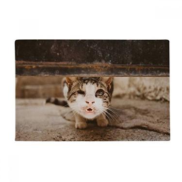Imagem de DIYthinker Tapete antiderrapante para porta de banheiro com fotografia de gato engraçado animal