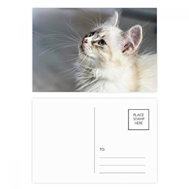 Imagem de Conjunto de cartão postal de aniversário com perfil de animal de estimação branco fofo com estampa de animal de estimação