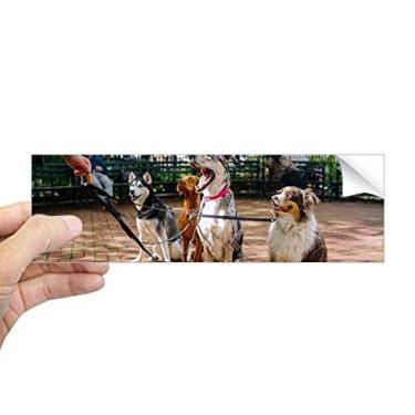 Imagem de DIYthinker Adesivo retangular de para-choque com imagem de animal de estimação para notebook e janela