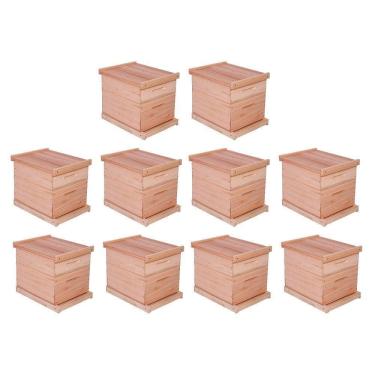 Imagem de Kit 10 Caixas Abelha Padrão Langstroth Eucalipto(Arame/Ilhoses)