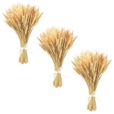 Imagem de Talos de trigo secos Uieke 45 cm 300 hastes de trigo 100% natural
