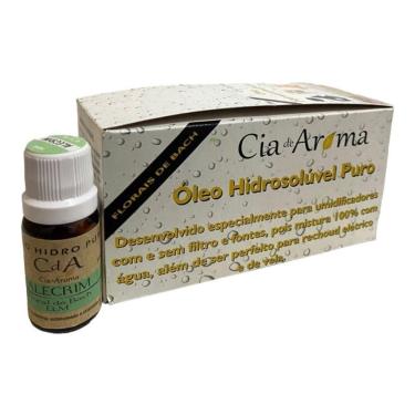 Imagem de Kit Box 10 Óleos Hidrossolúvel 10Ml - Escolha O Seu Aroma
