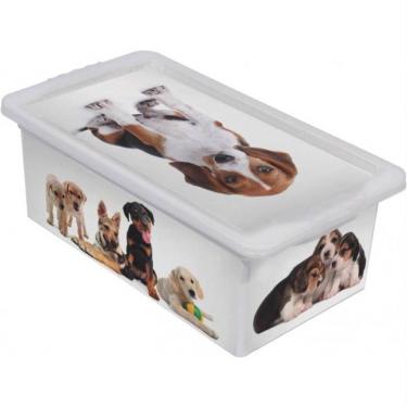 Imagem de Caixa Organizadora 5,5 Litros Cães Branca - Or16l-20 - São Bernardo Caixa Org. Container 5,5l Caes Branca Or16l-20