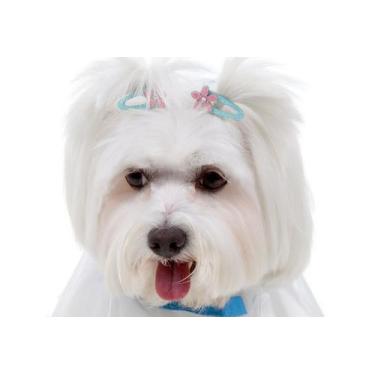 Imagem de Tattoo Pet para Cachorro e Gato Pet - Bichinho Chic