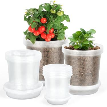 Imagem de TAQIXI Vasos de berçário transparentes de 9,5 cm com orifícios de drenagem e pires, pacote com 20 vasos de plantas de plástico transparente, vasos de sementes para suculentas