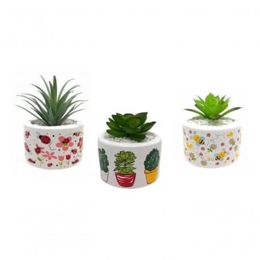 Imagem de Vaso Jardim Cachepo Suculenta Trio Cerâmica 5,3 Cm Diâmetro