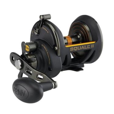 Imagem de PENN Molinete de pesca convencional Fathom II Star Drag, preto, dourado