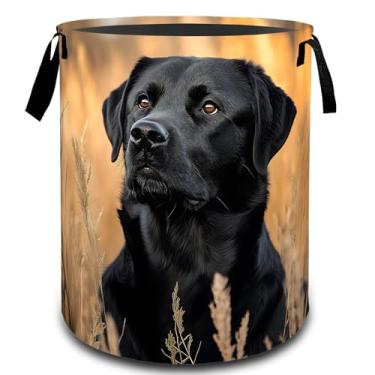 Imagem de VODRM Cachorro labrador com cesta de lavanderia de campo de trigo, cesto organizador de brinquedos sujo dobrável para crianças e adultos, cesto de armazenamento de tecido Oxford à prova d'água para