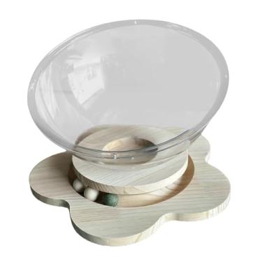 Imagem de WeiLaiKeQi Cama para gato com cápsula transparente, rede para gatos, centro de atividades respirável, cama para gatinhos, para relaxar, escalada, gatinho, XL