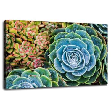 Imagem de Succulent Poster Plant Nature Canvas Prints Wall Art For Home 1 painéis Decorações com moldura 30.5 cmx20.3 cm