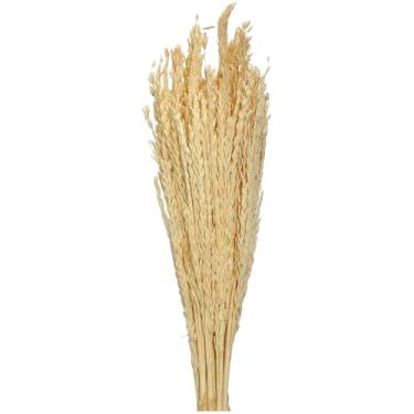 Imagem de Capim Desidratado com Flor de Milho – Buquê de Flores Secas e Arranjo Decorativo para Casamentos, Festas e Mesa de Jantar