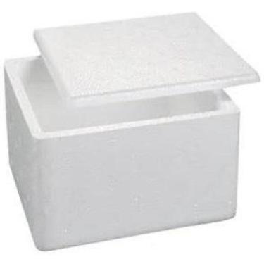 Imagem de 5 Un De Caixa Isopor Pequena 1Kg - 1L , Vacina