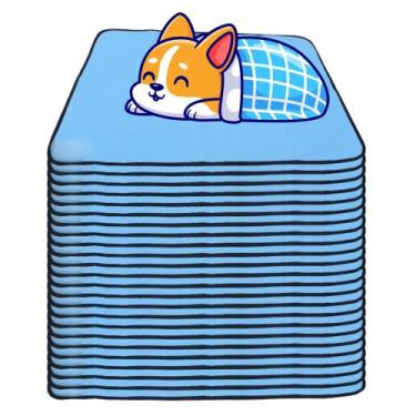 Imagem de 24 Caminhas para Cães e Gatos Dobrável 200 Lavagens 100x70 Azul Antipu