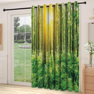 Imagem de Divisória de parede de cortina divisória da floresta, primavera, frescura, tema, folhagem, raios de sol, nascer do sol, paisagem da natureza, para quarto, jardim de infância, sala de estar, L 226 x C