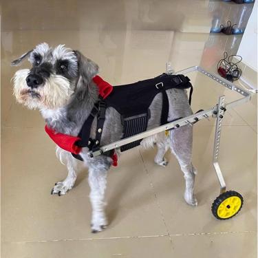 Imagem de Cadeira De Rodas Para Cães Grandes Para Pernas Traseiras, Cadeira De Rodas Ajustável Para Gatos Para Reabilitação Deficiência Lesionada De Ambas As Pernas, Auxiliares De, One Color, XX-Large