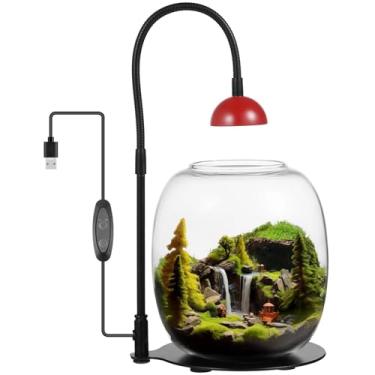 Imagem de Terrário de plantas de vidro LED com luz temporizada USB, luz de cultivo para plantas de interior, musgo, peixe betta, decoração de mesa