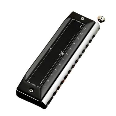 Imagem de Gaita cromática profissional chave de C 12 furos 48 tons profissional (1248)