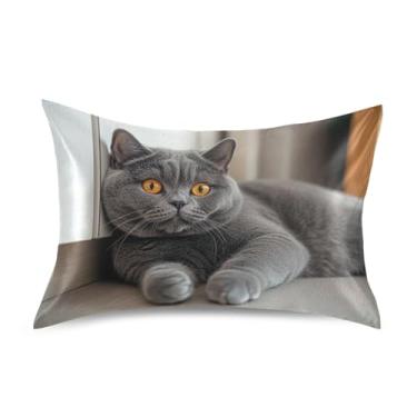 Imagem de Fronhas refrescantes engraçadas personalizadas padrão Queen King fronha de cetim capa de almofada estética queen tamanho 76.2 cm x 50.8 cm bonito gato cinza