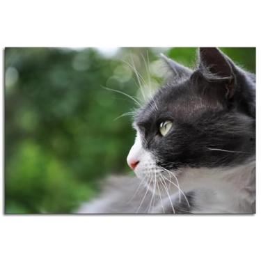 Imagem de Impressão em tela de gato Stare Poster arte de parede para casa 1 peça decorações não ramificadas 30,5 x 20,3 cm