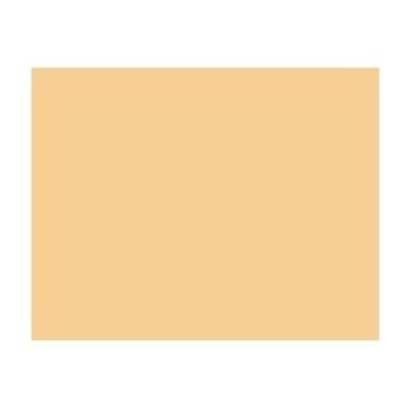 Imagem de Placa Eva Liso Bege 48x40 450 Eduart