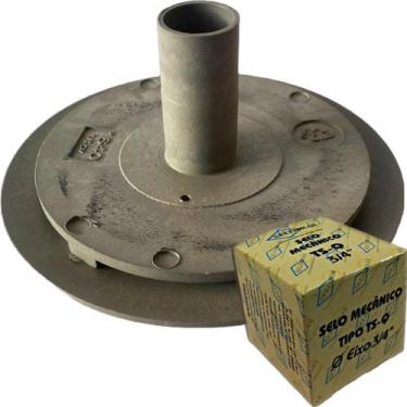 Imagem de Rotor 1/4 cv Para Motobomba De Piscina Modelo Jacuzzi Com Selo Mecanic