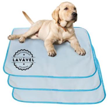 Imagem de Kit 3 Tapetes Higiênicos Laváveis p Cães  Branco c Borda Azul  70x50cm