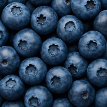 Imagem de Blueberry Importado 100g  Fruta Premium, Sabor Intenso e Textura Suave