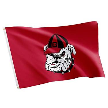 Imagem de Desert Cactus Bandeira da Universidade da Geórgia Bulldogs UGA Dawgs 100% poliéster interno externo 3 pés x 5 pés bandeira (design 10)