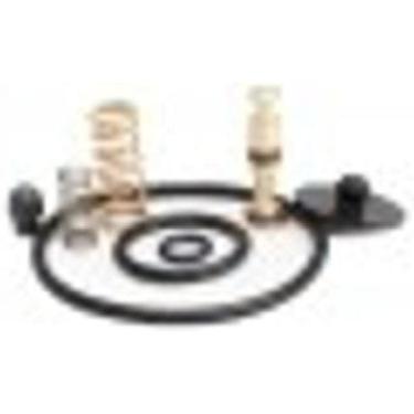 Imagem de Kit Serviço Pcp-1P Borracha Mola Reparo Pulverizador 1,25L